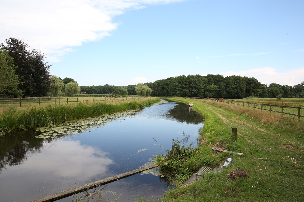 Hier staat een foto uit de omgeving.